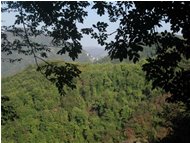  Woods in Seminella Valley - Busalla&Ronco Scrivia - 2002 - Landscapes - Winter - Voto: Non  - Last Visit: 27/1/2024 17.29.8 