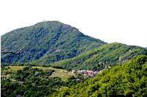  Minceto e Monte Reale - Busalla&Ronco Scrivia - 2006 - Paesi - Estate - Voto: Non  - Last Visit: 5/8/2022 13.31.26 