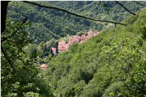  Un’apertura nel bosco verso l’abitato di Pietrafraccia  - Busalla&Ronco Scrivia - 2006 - Paesi - Estate - Voto: Non  - Last Visit: 27/8/2022 5.50.14 