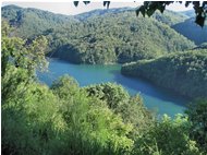  Boschi selvaggi attorno al lago Busalletta - Busalla&Ronco Scrivia - 2011 - Panorami - Estate - Voto: Non  - Last Visit: 1/10/2023 3.0.45 