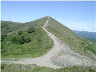  Il Monte Alpe di Porale - Busalla&Ronco Scrivia - <2001 - Panorami - Estate - Voto: 10   - Last Visit: 11/8/2022 2.48.48 