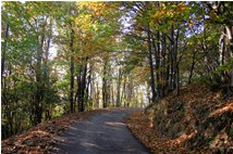  Lago Busalletta: La strada per Chiapari  - Busalla&Ronco Scrivia - 2009 - Panorami - Inverno - Voto: Non  - Last Visit: 26/9/2023 16.18.47 