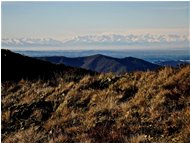  Le Alpi tra Cozie e Graie - Busalla&Ronco Scrivia - 2014 - Panorami - Inverno - Voto: Non  - Last Visit: 25/6/2022 20.30.22 