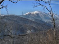  Monte Leco - Busalla&Ronco Scrivia - 2010 - Panorami - Inverno - Voto: Non  - Last Visit: 18/4/2023 15.28.39 