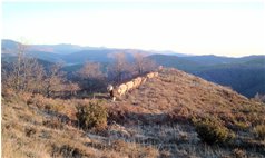  Pendici monte Alpe Porale: mucche al pascolo - Busalla&Ronco Scrivia - 2013 - Panorami - Inverno - Voto: Non  - Last Visit: 25/4/2024 2.3.48 