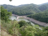  Siccità sul Lago della Busalletta in agosto - Busalla&Ronco Scrivia - 2003 - Panorami - Estate - Voto: Non  - Last Visit: 13/4/2024 19.13.49 