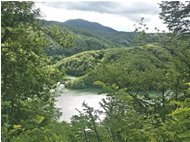  Un angolo del lago Busalletta a inizio estate - Busalla&Ronco Scrivia - 2016 - Panorami - Estate - Voto: Non  - Last Visit: 19/9/2023 2.9.19 