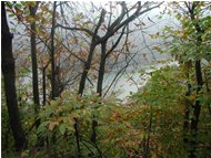  Busalletta lake during autumn - Busalla&Ronco Scrivia - 2002 - Woods - Winter - Voto: Non  - Last Visit: 30/9/2023 23.15.34 