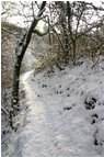  The path to the old sluice - Busalla&Ronco Scrivia - 2006 - Woods - Winter - Voto: 6    - Last Visit: 8/10/2023 10.55.29 
