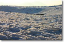 Fotografie Busalla&Ronco Scrivia - Altro - Crocchette di ghiaccio e neve