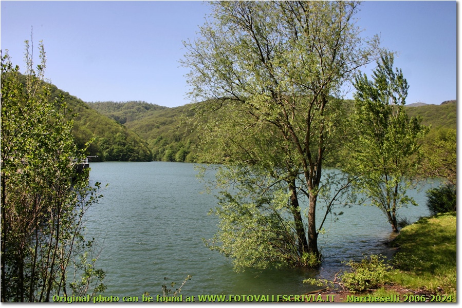 Immagini del lago Busalletta in Maggio - Busalla&Ronco Scrivia - 2009 - Altro - Estate - Canon EOS 300D