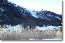 Foto Busalla&Ronco Scrivia - Altro - Inverno alla Banchetta