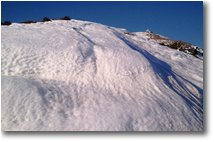Foto Busalla&Ronco Scrivia - Altro - Pendii del Monte Alpe di Porale