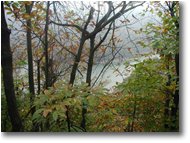 Foto Busalla&Ronco Scrivia - Boschi - Autunno al lago Busalletta