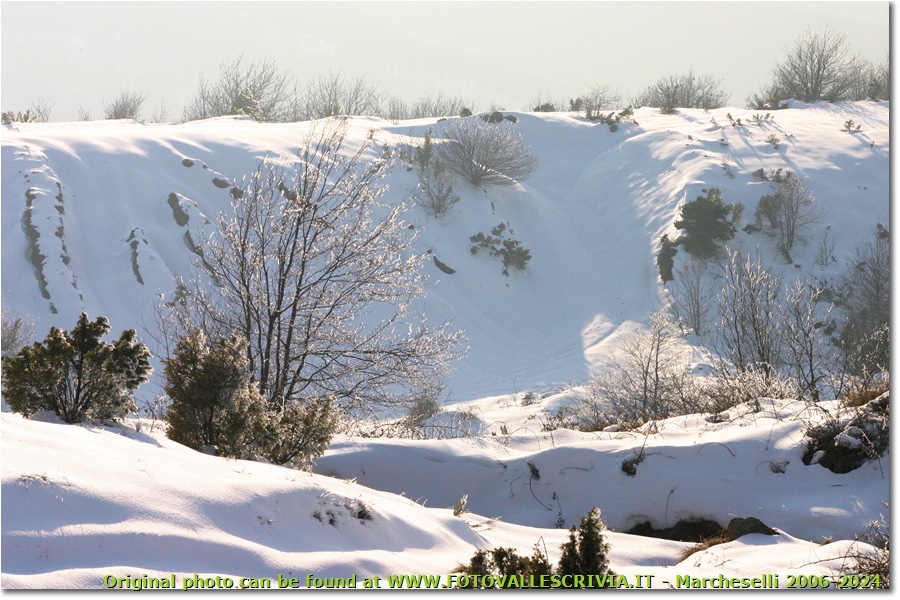 Avvallamenti innevati alle pendici dell'Alpe di Porale - Busalla&Ronco Scrivia - 2013 - Boschi - Inverno - Canon EOS 300D