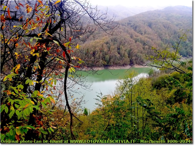 Autunno a Chiapari: lago Busalletta dopo le prime piogge - Busalla&Ronco Scrivia - 2018 - Fiori&Fauna - Estate - HTC One S Nokia C7-00 (o altro cell)