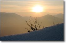 Fotografie Busalla&Ronco Scrivia - Fiori&Fauna - Il freddo sole al tramonto