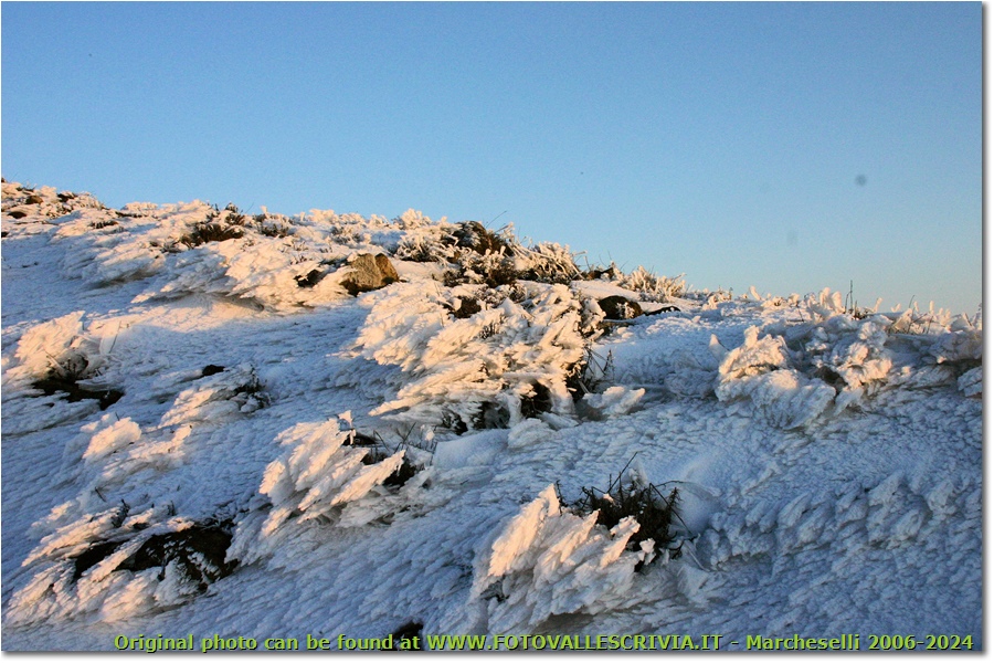 Infioresenze di ghiaccio al tramonto - Busalla&Ronco Scrivia - 2013 - Fiori&Fauna - Inverno - Canon EOS 300D