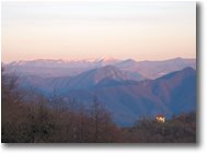 Foto Busalla&Ronco Scrivia - Fiori&Fauna - Panorami a confronto: novembre