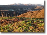 Foto Busalla&Ronco Scrivia - Panorami - Busalla al tramonto vista da sud
