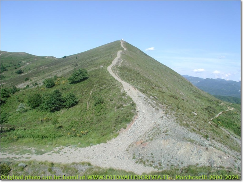 Il Monte Alpe di Porale - Busalla&Ronco Scrivia - <2001 - Panorami - Estate - Olympus Camedia 3000