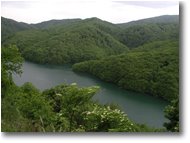 Foto Busalla&Ronco Scrivia - Panorami - Il lago artificiale della Busalletta