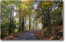 Fotografie Busalla&Ronco Scrivia - Panorami - Lago Busalletta: La strada per Chiapari 