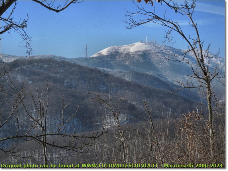 Monte Leco - Busalla&Ronco Scrivia - 2010 - Panorami - Inverno - Canon Ixus 980 IS