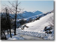 Fotografie Busalla&Ronco Scrivia - Panorami - Monte Tobbio visto dalla strada Chiappa-Banchetta