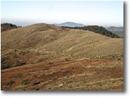 Foto Busalla&Ronco Scrivia - Panorami - Pascoli del Monte Porale