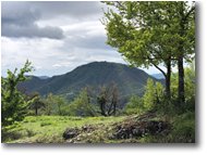 Fotografie Busalla&Ronco Scrivia - Panorami - M. Reale visto dalla Val Vobbia