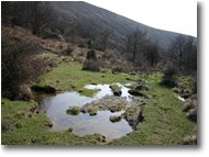 Foto Busalla&Ronco Scrivia - Panorami - Spring