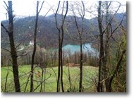 Foto Busalla&Ronco Scrivia - Panorami - Un altro angolo del lago Busalletta