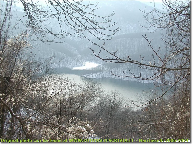 Veduta invernale del Lago Busalletta innevato - Busalla&Ronco Scrivia - 2005 - Panorami - Inverno - Olympus Camedia 3000