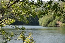  Busalletta lake in May - Busalla&Ronco Scrivia - 2009 - Other - Summer - Voto: Non  - Last Visit: 15/7/2010 17.2.5 