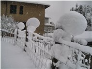  28 gennaio: inizia l'inverno - Casella - 2012 - Altro - Inverno - Voto: Non  - Last Visit: 25/8/2022 20.44.13 