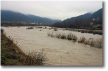 Fotografie Casella - Altro - Disgelo: Fiume Scrivia a Casella