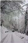  Neve a novembre: Pratopriore (Casella) - Casella - 2009 - Boschi - Inverno - Voto: Non  - Last Visit: 26/6/2022 17.31.41 