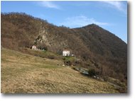 Foto Casella - Fiori&Fauna - Madonna della Guardia di Crocetta d'Orero