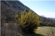  Ritorna la primavera - Casella - 2006 - Fiori&Fauna - Estate - Voto: Non  - Last Visit: 17/4/2024 2.28.45 