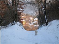  Alture di Casella - Casella - 2010 - Landscapes - Winter - Voto: Non  - Last Visit: 28/9/2023 8.54.40 