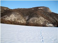  Alture di Casella - Casella - 2010 - Landscapes - Winter - Voto: Non  - Last Visit: 28/9/2023 18.28.45 