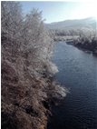  Capodanno gelato lungo il fiume Scrivia - Casella - 2009 - Landscapes - Winter - Voto: Non  - Last Visit: 24/9/2023 7.12.15 