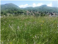  Casella, Monte Maggio, Monte Albarino e Monte Carmo - Casella - 2016 - Landscapes - Summer - Voto: Non  - Last Visit: 25/5/2024 8.15.25 