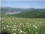  Casella from grassland near Gualdrà - Casella - <2001 - Landscapes - Summer - Voto: Non  - Last Visit: 17/3/2024 19.48.40 