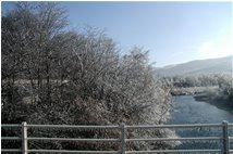  Gelo sulle sponde del fiume Scrivia - Casella - 2009 - Landscapes - Winter - Voto: Non  - Last Visit: 19/9/2023 22.40.43 