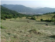  Haymaking: Casella and Crocetta d'Orero pass in the background - Casella - <2001 - Landscapes - Summer - Voto: Non  - Last Visit: 30/9/2023 12.28.43 