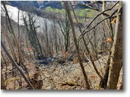 Fotografie Casella - Paesi - Frana sulla strada Ponte di Savignone - Stabbio, vista dall alto