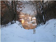  Alture di Casella innevate - Casella - 2010 - Panorami - Inverno - Voto: Non  - Last Visit: 28/9/2023 8.54.40 