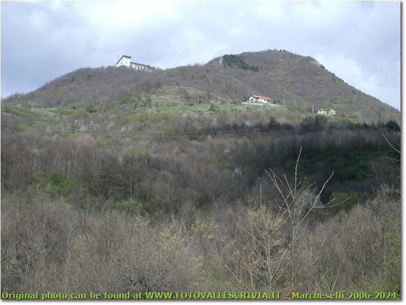 La colonia di M. Maggio - Casella - 2002 - Panorami - Estate - Olympus Camedia 3000